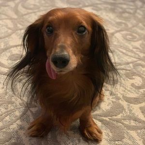 Meet your Posher, Marilise